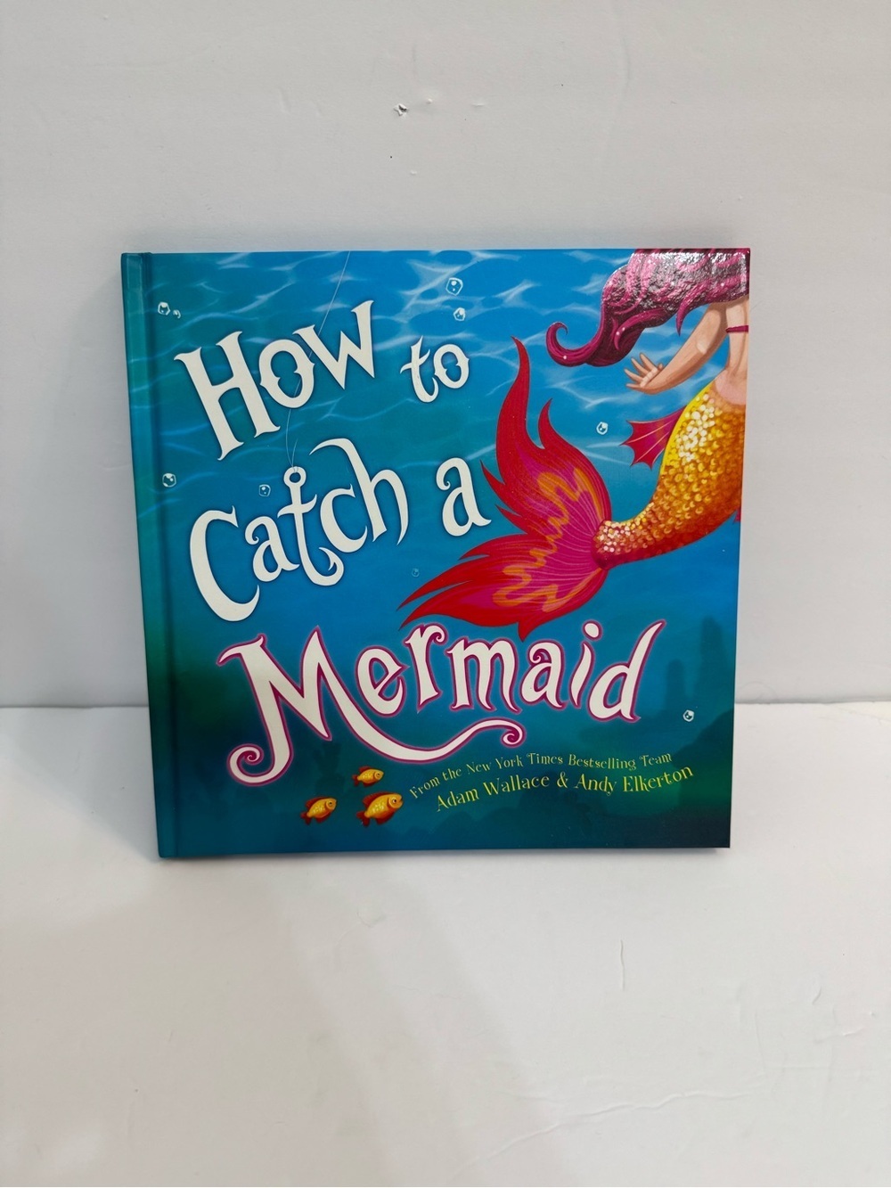 Children’s Book Kids Story How to Catch a Mermaid